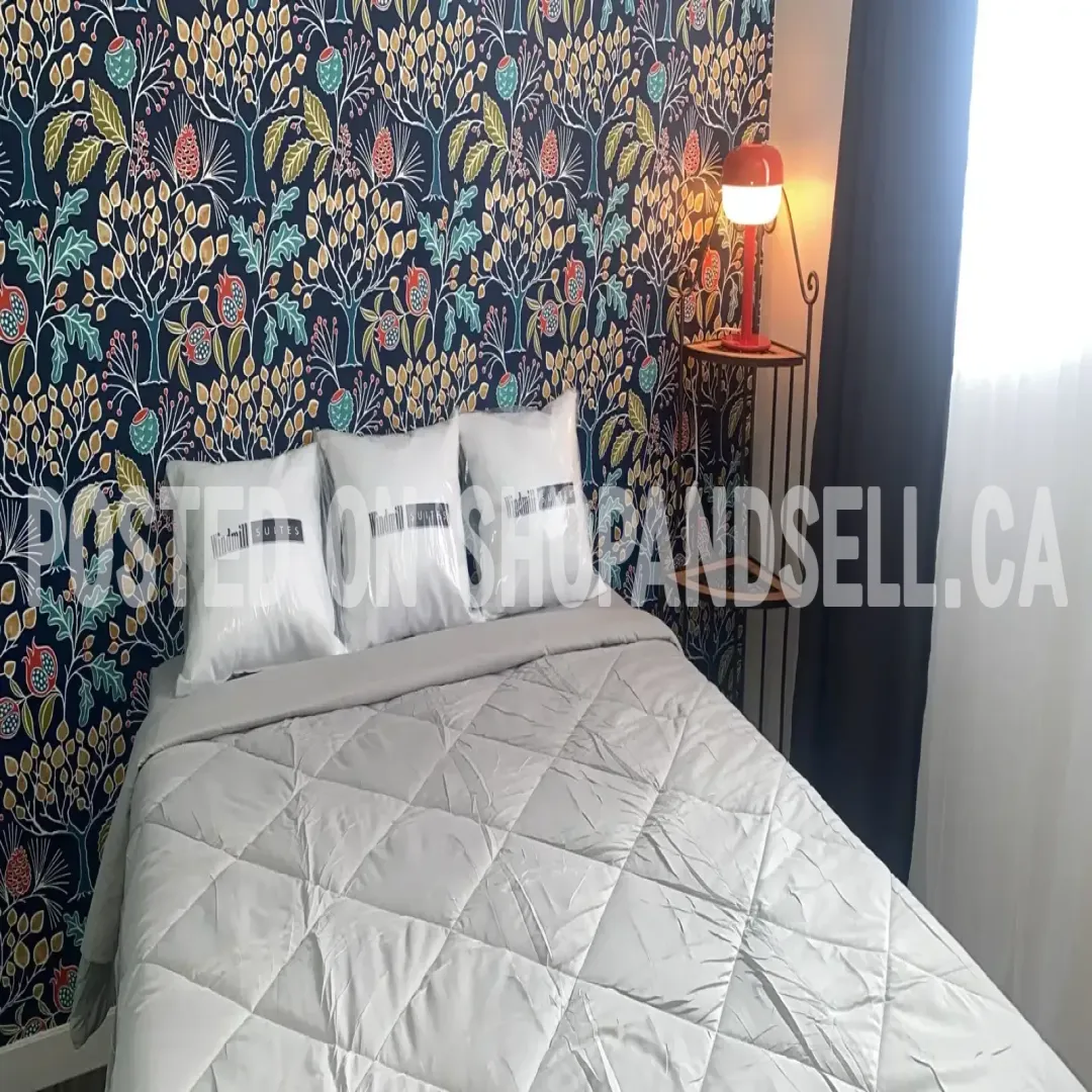 Furnished Kitchenette Apartment - $1000