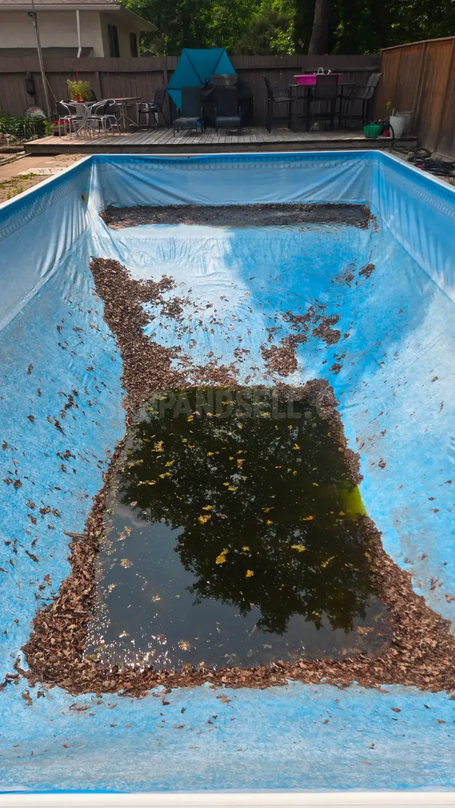 TLC Swimming Pool Services: Expert Pool Maintenance &amp; Repair Solutions